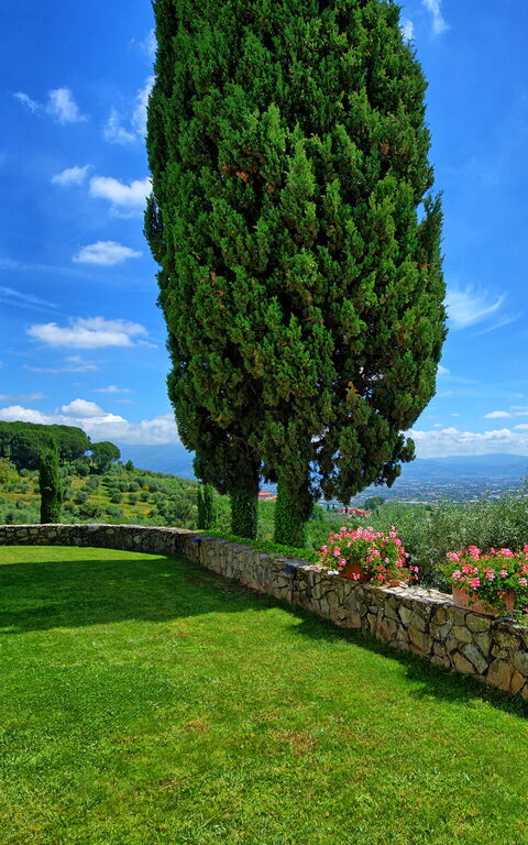 Villa Mami: Ansichten, Außen, Draussen, Garten
