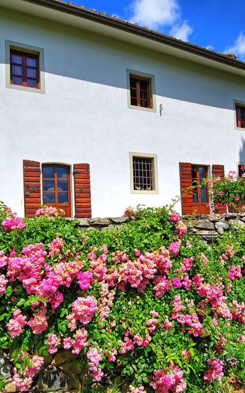 Villa Mami: Außen, Draussen, Garten