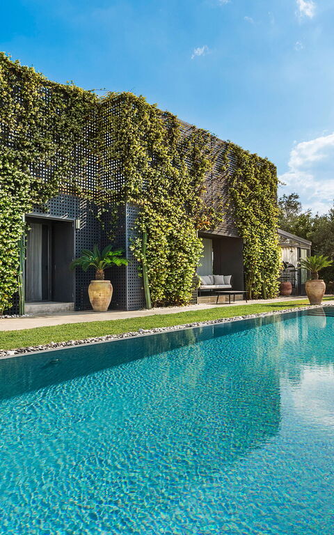 Villa Agnese: Außen, Draussen, Garten, Schwimmbad