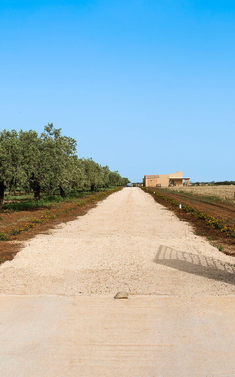 Villa Cavalè: Außen, Draussen, Haupteingang