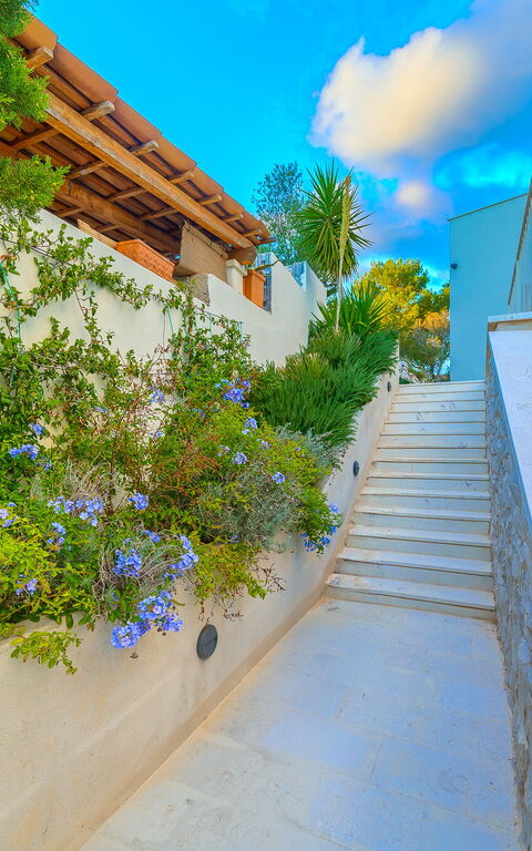 Villa Pine Haven: Außen, Draussen