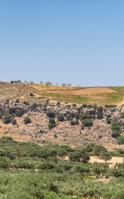 Villa Aetheria: Ansichten