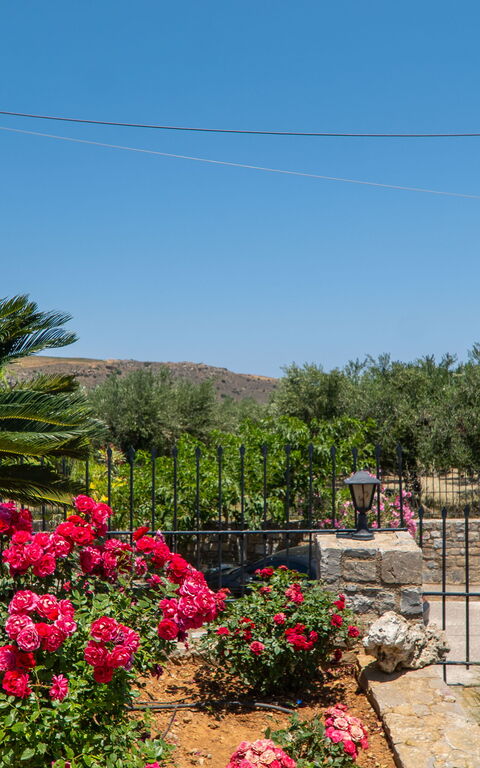 Villa Aetheria: Außen, Draussen