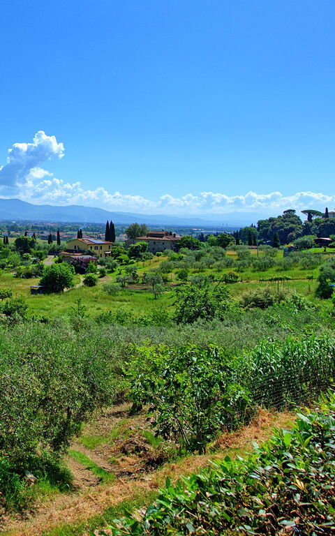 Villa Marusca: Ansichten, Außen, Draussen