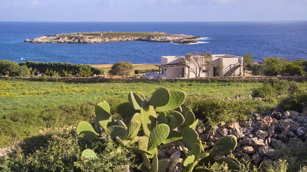 Tenuta Stornello: Ansichten, Außen, Draussen, Garten