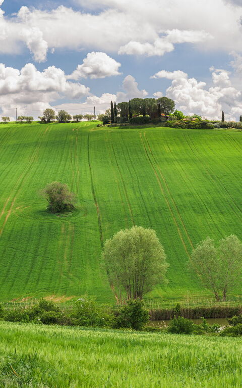 Villa la Contea: Ansichten