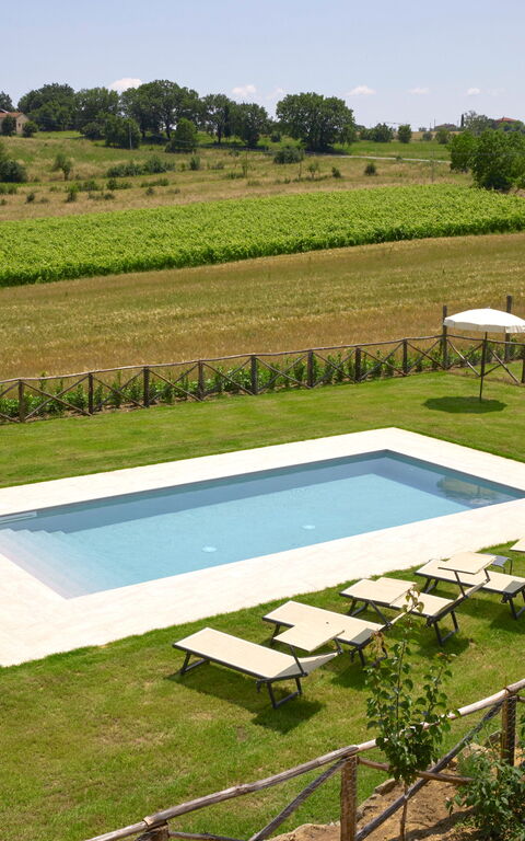 Villa Vigneto: Ansichten, Außen, Draussen, Garten, Schwimmbad