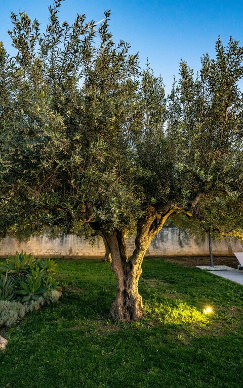 Villa Virginia: Außen, Draussen, Garten