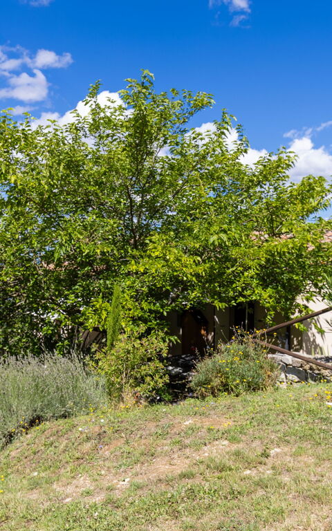 Villanova Lonciano - 2026: Außen, Draussen, Garten