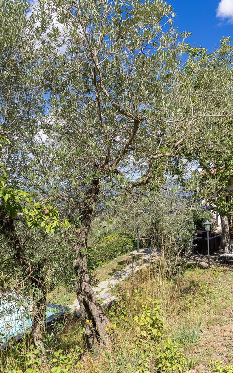 Villanova Lonciano - 2026: Außen, Draussen, Garten