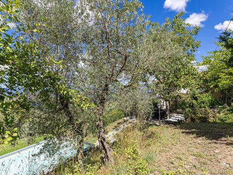 Villanova Lonciano - 2026