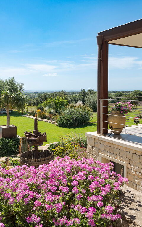 Corte Antigua: Außen, Balkon / Terrasse / Patio, Draussen, Garten, Schwimmbad