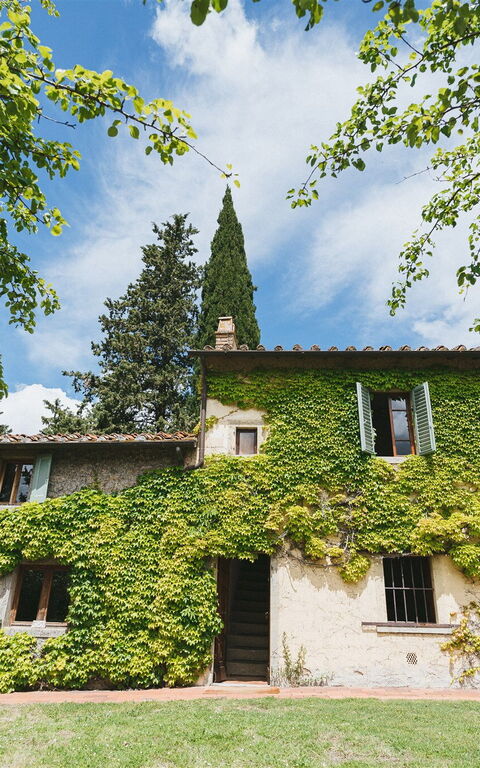 Podere Lupinati: Außen, Draussen