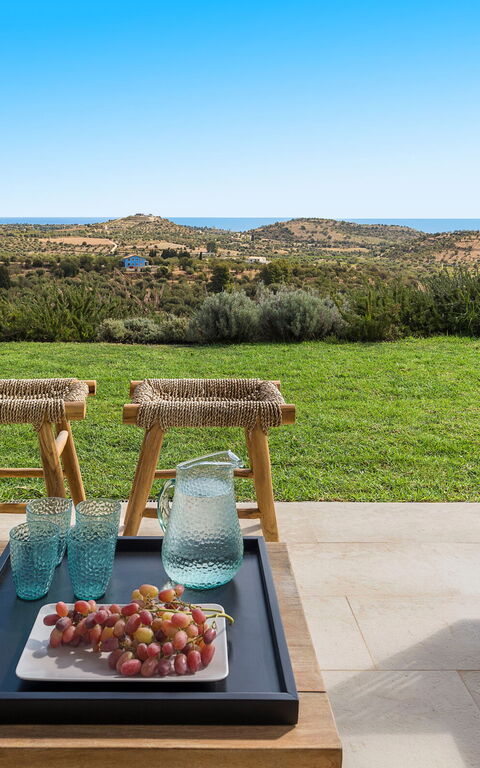 Villa Petite Afrique: Außen, Draussen, Garten