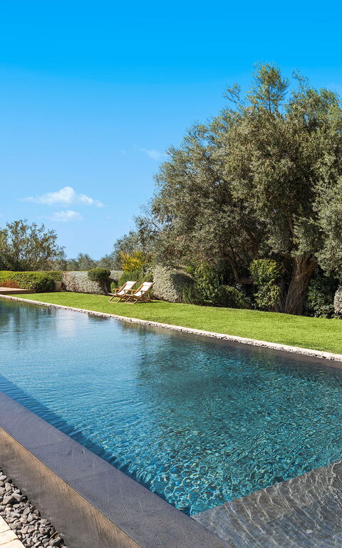 Domus Olivae: Außen, Draussen, Garten, Schwimmbad