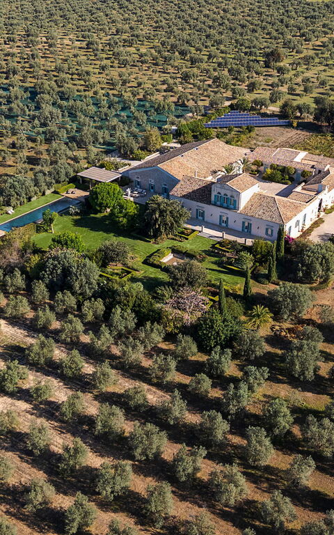 Domus Olivae: Ansichten