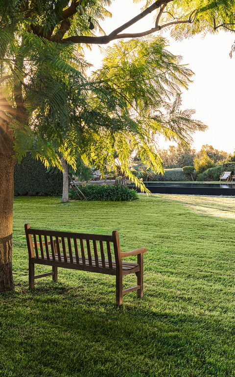 Domus Olivae: Außen, Draussen, Garten