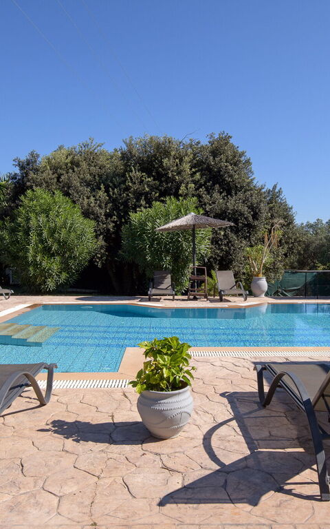 Villa Melitti: Außen, Draussen, Garten, Schwimmbad