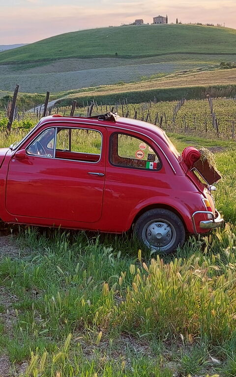 Podere Peteglia: Ansichten