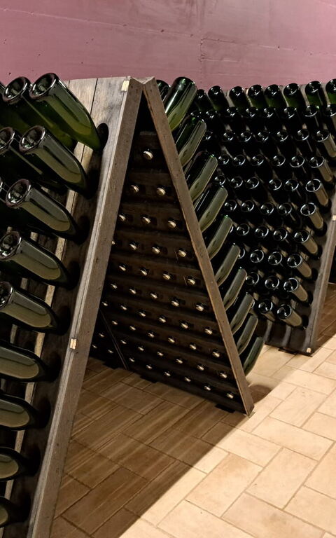 Podere Peteglia: Aktivitäten