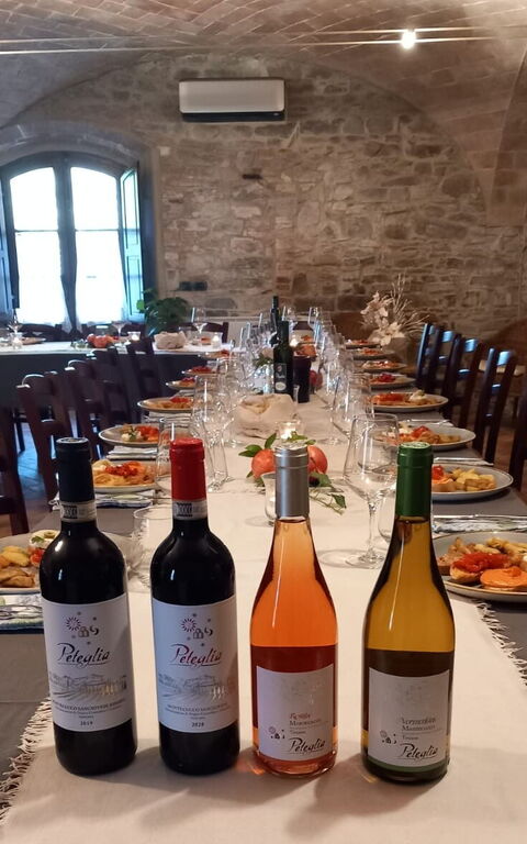 Podere Peteglia: Aktivitäten