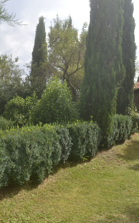 Podere Peteglia: Außen, Draussen, Garten