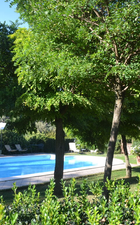 Podere Peteglia: Außen, Draussen, Garten, Schwimmbad