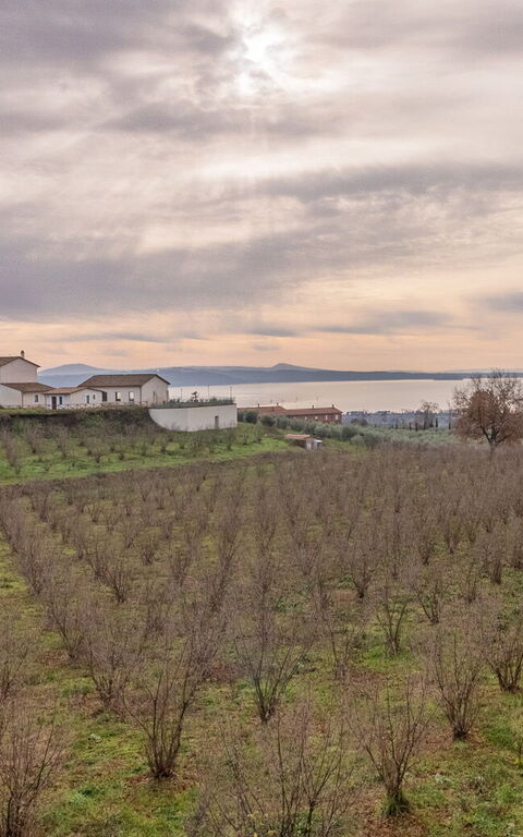 Tenuta Poggio Guiano: Ansichten