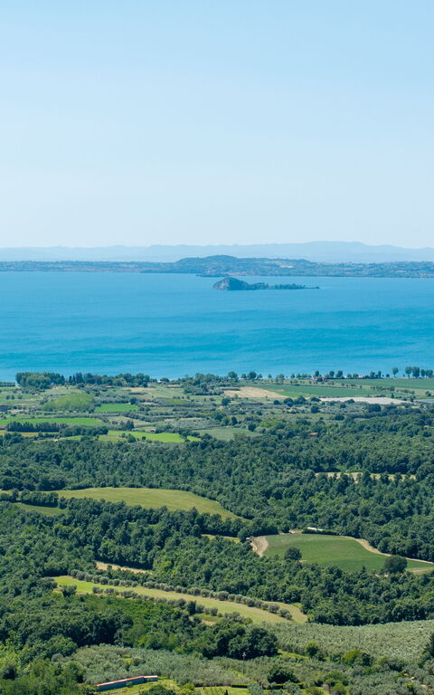 Tenuta Poggio Guiano: Ansichten