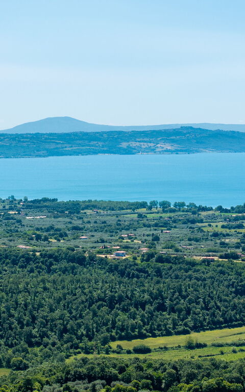 Tenuta Poggio Guiano: Ansichten