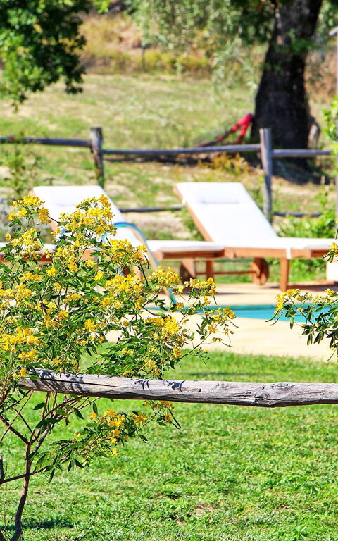 Villa Civita: Garten