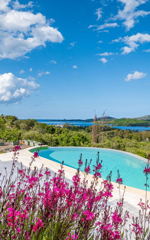 Villa Zephyros: Ansichten, Außen, Draussen, Schwimmbad