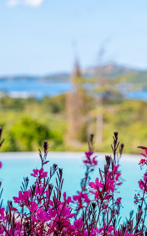 Villa Zephyros: Ansichten, Schwimmbad