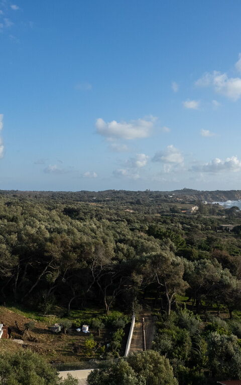 Villa Elais: Ansichten, Draussen