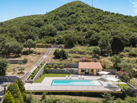 Le Driadi
