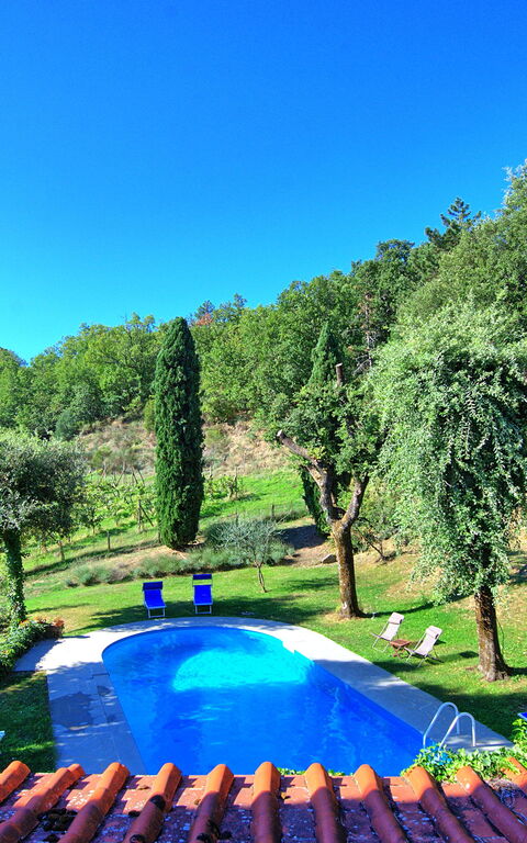 Villa Ulivacci: Schwimmbad