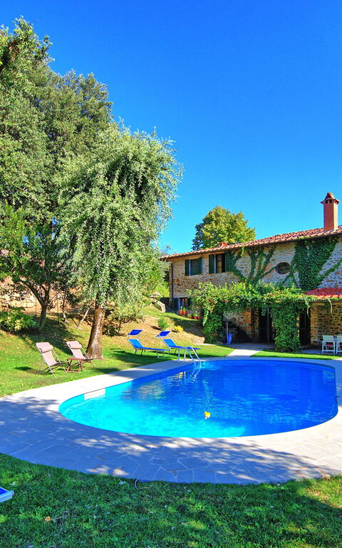 Villa Ulivacci: Außen, Draussen, Garten, Schwimmbad, Sommer