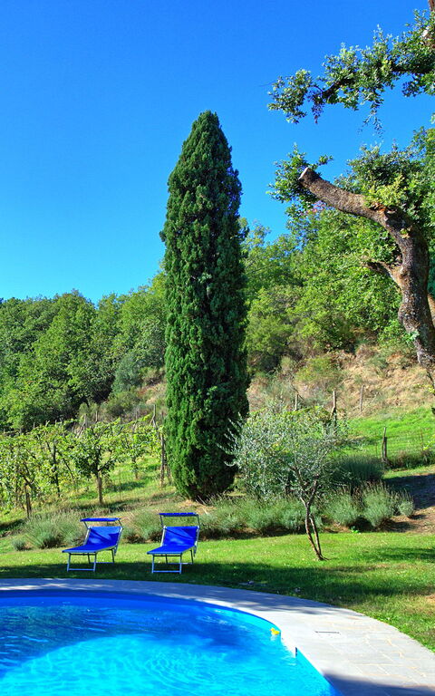 Villa Ulivacci: Schwimmbad