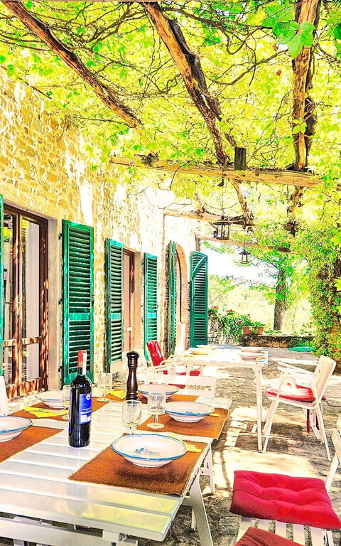 Villa Ulivacci: Draussen