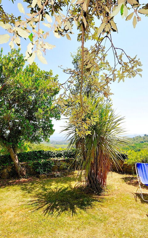 Villa Ulivacci: Garten