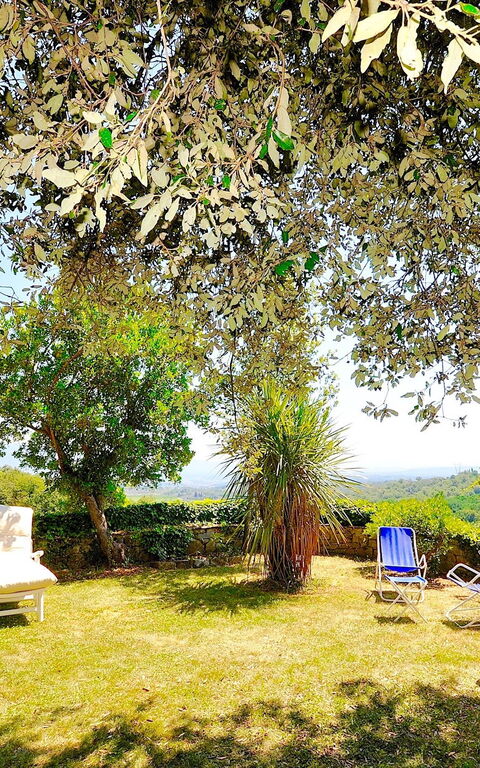 Villa Ulivacci: Garten