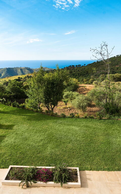 Casita: Außen, Draussen, Garten