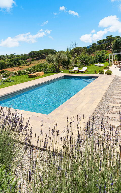 Casita: Außen, Draussen, Garten, Schwimmbad