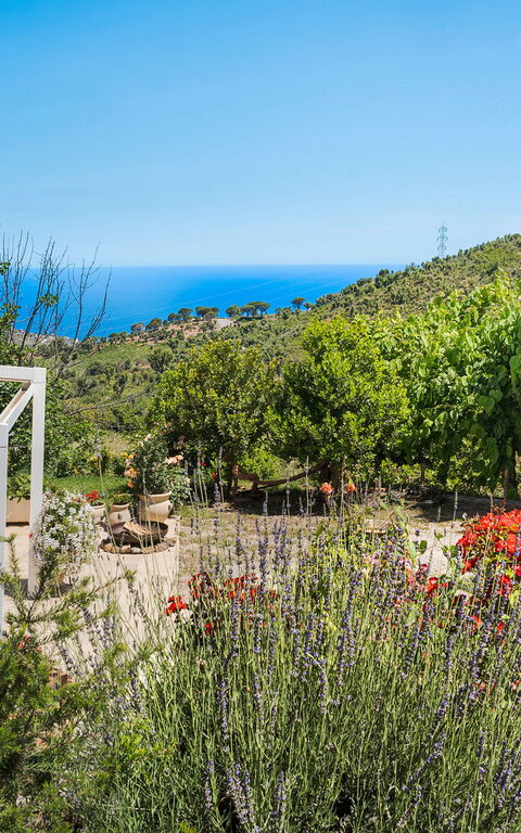 Casita: Außen, Balkon / Terrasse / Patio, Draussen