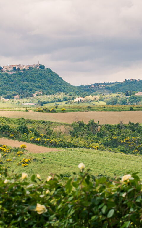 Villa Icario: Ansichten