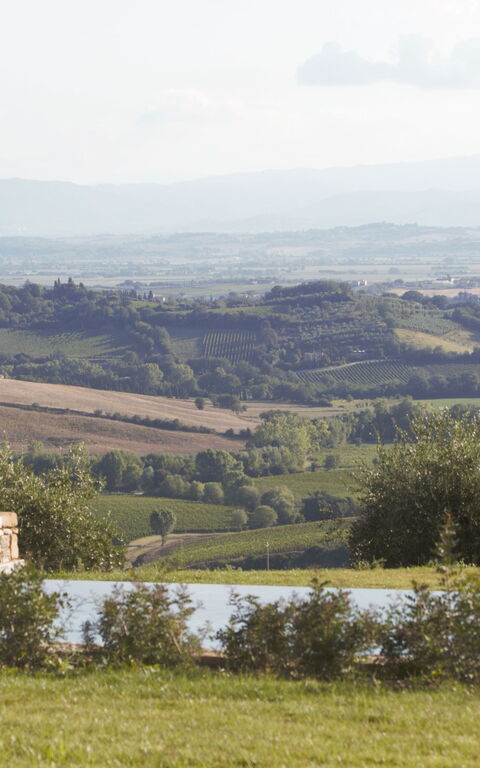 Villa Icario: Ansichten, Außen, Draussen, Garten, Schwimmbad