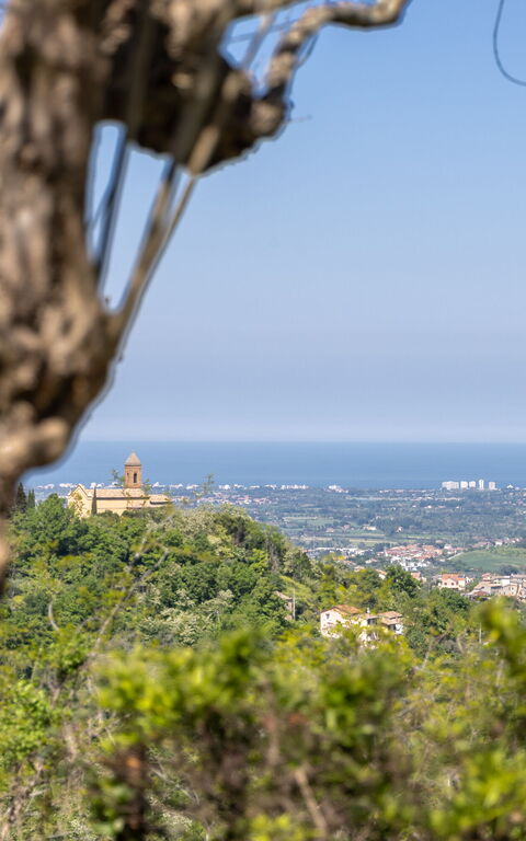 Villa Belvedere San Bartolo: Ansichten