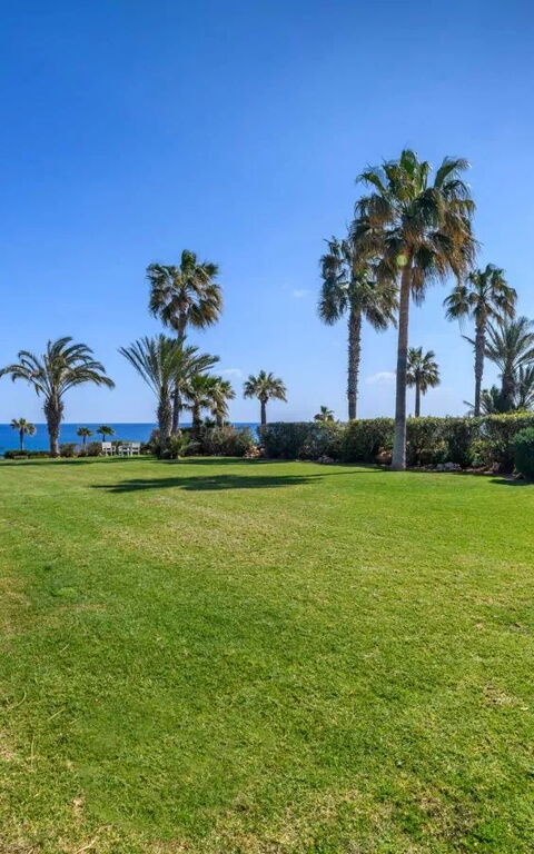 Royal Beachfront Villa: Ansichten, Außen, Draussen, Garten