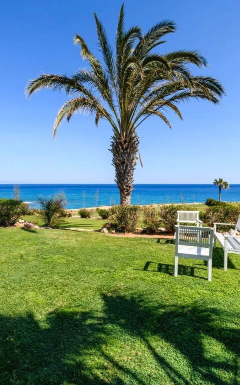 Royal Beachfront Villa: Ansichten, Außen, Draussen, Garten