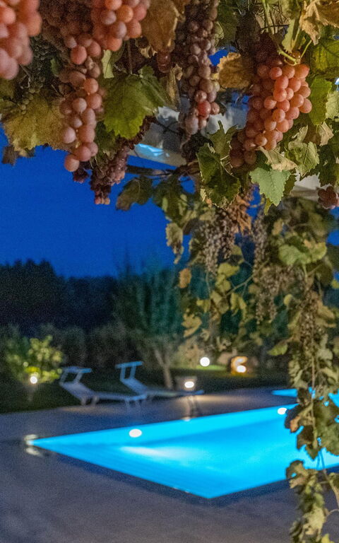 Villa Icaria: Außen, Draussen, Schwimmbad